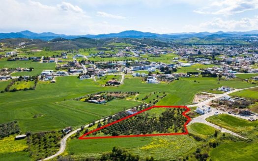 Shared residential field in Dali, Nicosia