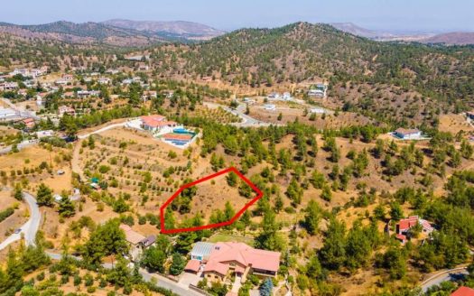 Shared residential field in Agios Epifanios Oreinis, Nicosia