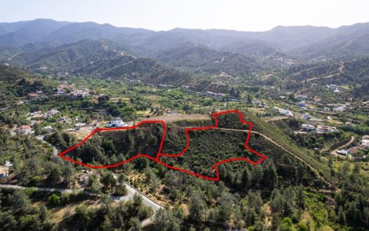 Two adjacent residential fields in Sinaoros, Nicosia