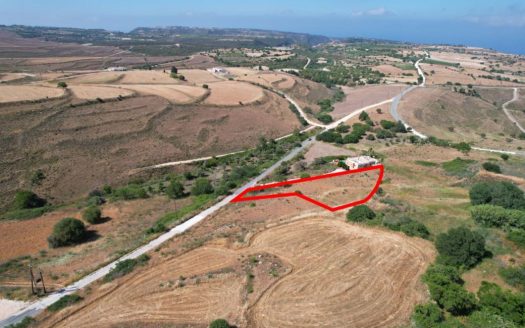 Shared field in Pano Arodes, Paphos