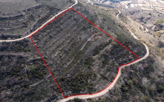 Field in Arsos, Limassol