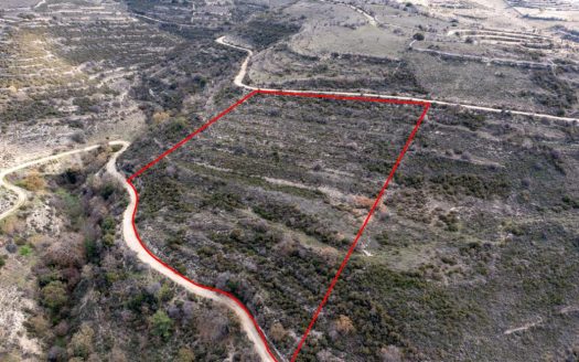 Field in Arsos, Limassol