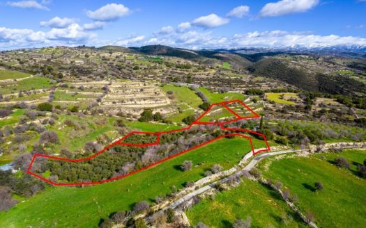 Residential fields in Dora, Limassol