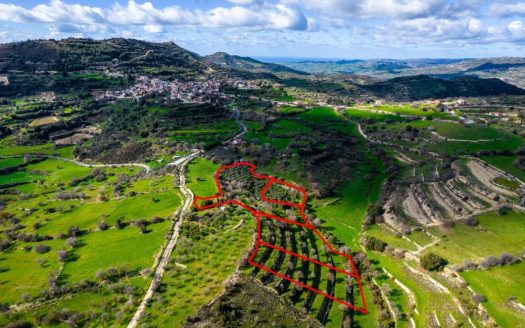 Residential fields in Dora, Limassol