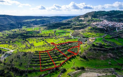 Residential fields in Dora, Limassol