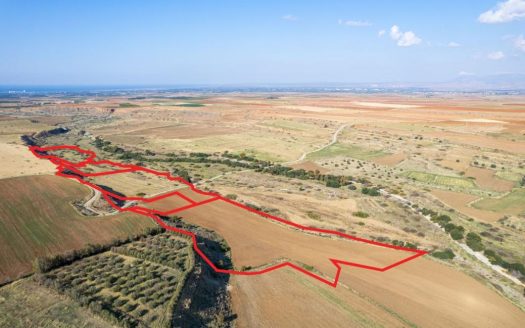 Fields in Kato Koutrafas, Nicosia