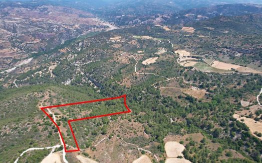 Field in Prastio, Paphos