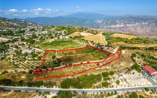 Shared residential fields in Statos, Paphos