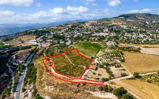 Shared residential fields in Statos, Paphos