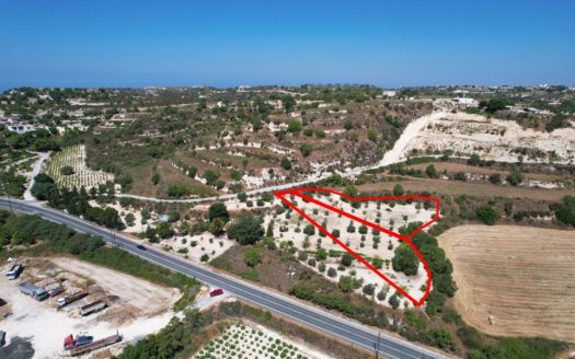 Two residential fields in Tsada, Paphos