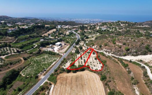 Two residential fields in Tsada, Paphos