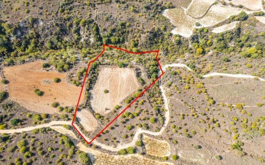 Field in Dora, Limassol