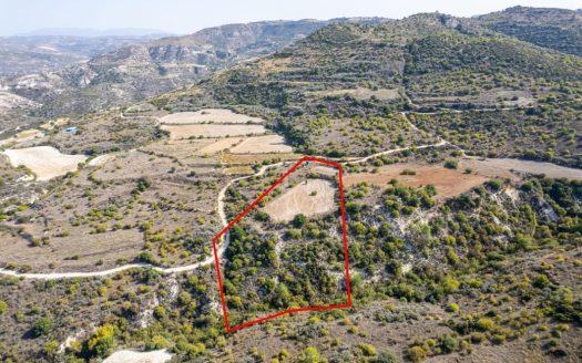 Field in Dora, Limassol