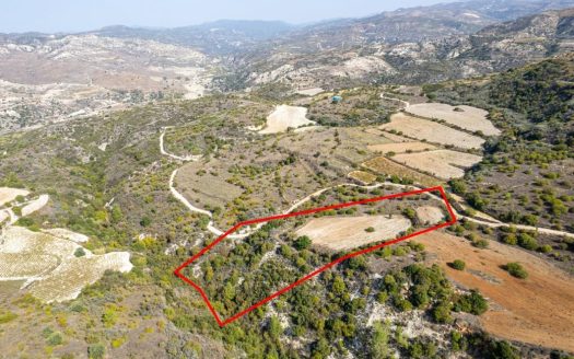 Field in Dora, Limassol