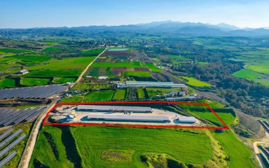 Field with a poultry farm in Agios Ioannis Malountas, Nicosia