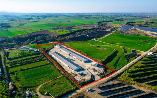 Field with a poultry farm in Agios Ioannis Malountas, Nicosia