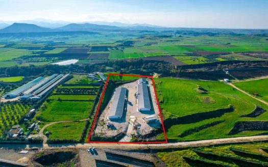 Field with a poultry farm in Agios Ioannis Malountas, Nicosia