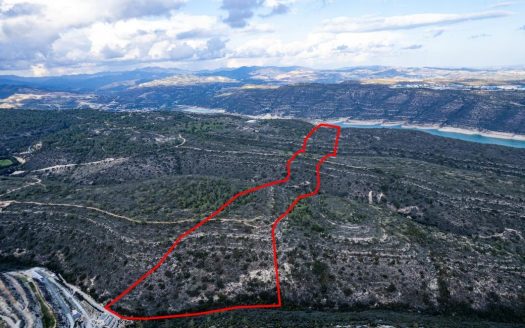 Field in Souni-Zanakia, Limassol