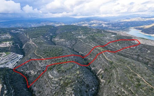 Field in Souni-Zanakia, Limassol