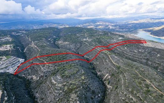 Field in Souni-Zanakia, Limassol