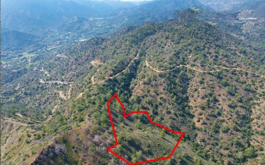 Field in Arakapas, Limassol