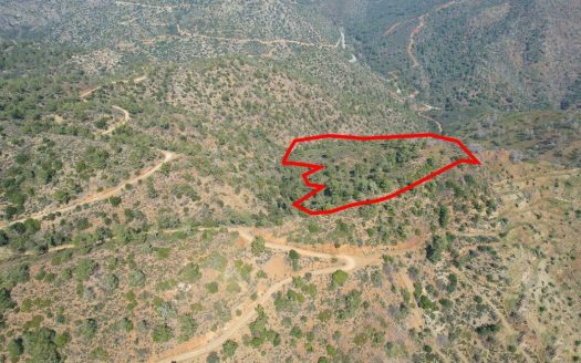 Field in Arakapas, Limassol