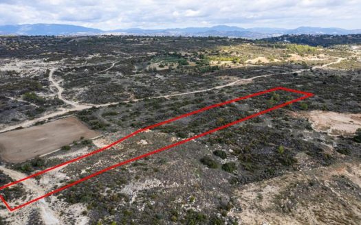 Shared field in Pano Kivides, Limassol