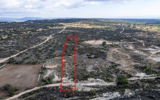 Shared field in Pano Kivides, Limassol