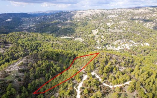 Shared field in Anogyra, Limassol