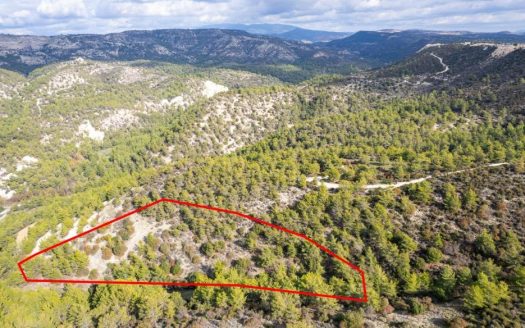 Shared field in Anogyra, Limassol