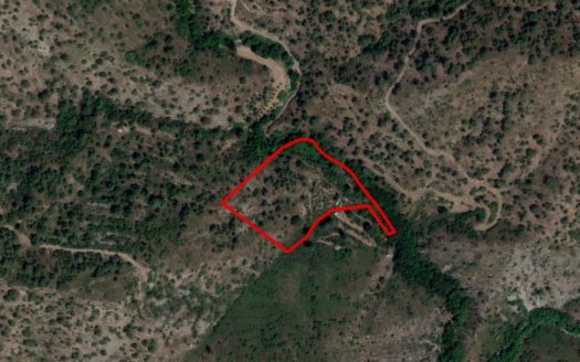 Field in Sikopetra, Limassol