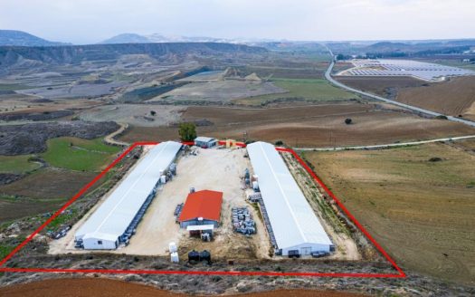 Field with a poultry farm in Agios Ioannis Malountas, Nicosia