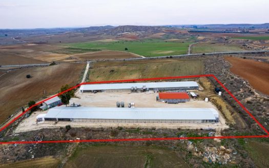 Field with a poultry farm in Agios Ioannis Malountas, Nicosia