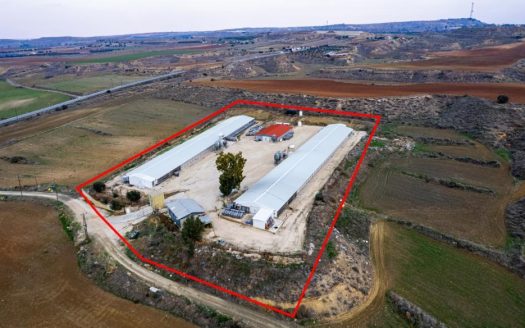 Field with a poultry farm in Agios Ioannis Malountas, Nicosia