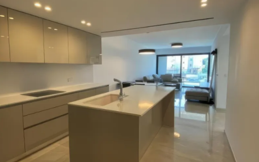 Limassol Property Contemporary Two Bedroom Apartment
