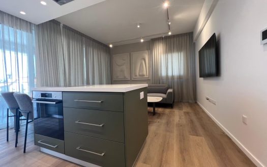 Limassol Property Brand New Two Bedroom Penthouse