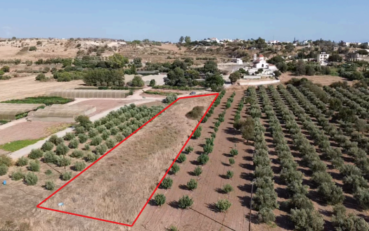 Paphos Property Agricultural Plot in Agia Varvara-3.345 m2