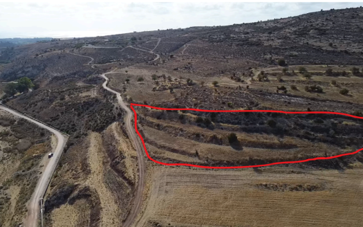 Paphos Property Agricultural Plot in Agia Varvara-8.696 m2