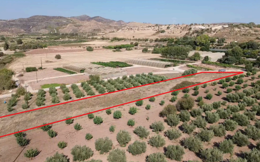Paphos Property Agricultural Plot in Agia Varvara-3.345 m2
