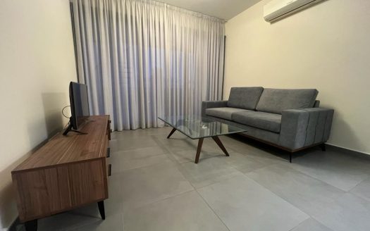 Limassol Property Two Bedroom Penthouse in Prime Location