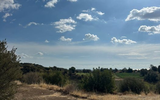 Limassol Property Agriculture Plot in Pareklisia-6.689 m2