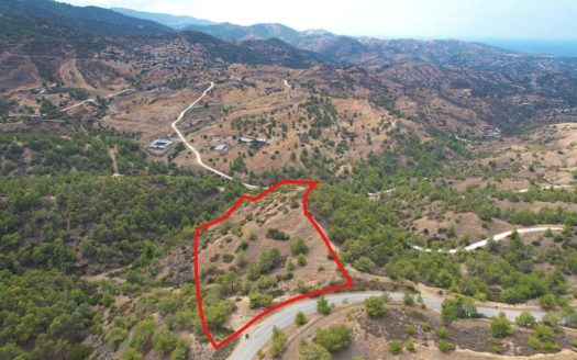 Field in Pano Pyrgos, Nicosia