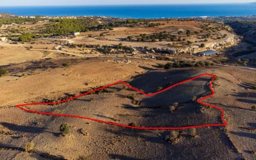 Shared agricultural field in Androlikou, Paphos