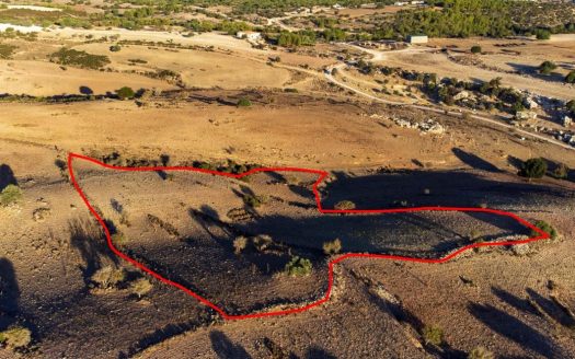 Shared agricultural field in Androlikou, Paphos