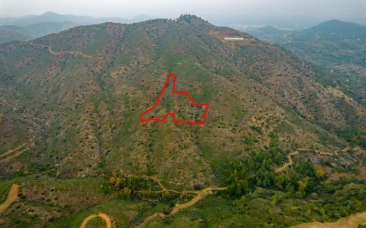 Field in Lythrodontas, Nicosia