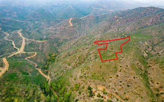 Field in Lythrodontas, Nicosia