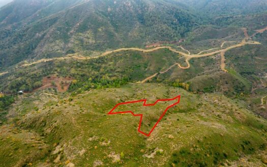 Field in Lythrodontas, Nicosia