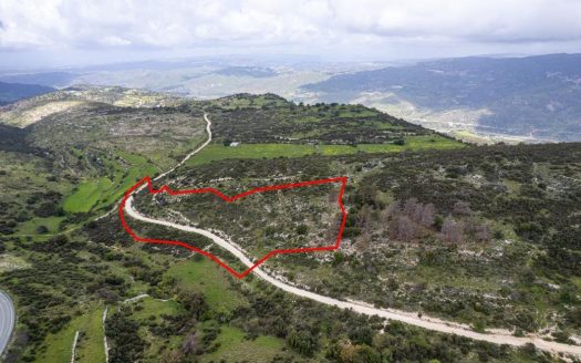 Shared field in Mousere, Paphos