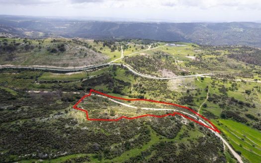 Shared field in Mousere, Paphos