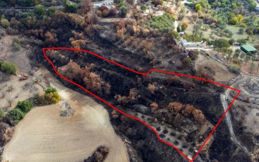 Agricultural Field in Drymou, Paphos